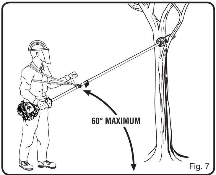 RYOBI RY52003 - LIMBING AND PRUNING - 1