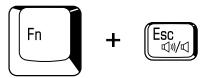 TOSHIBA QF10 - Hot keys - 2