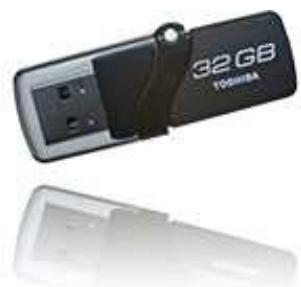 TOSHIBA TRANSMEMORY U2M FLASH 16 GB - Product overview Toshiba USB Flash Drives - 1