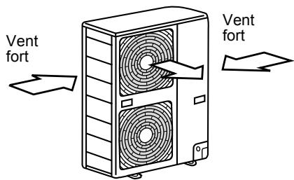 Vent fort Vent fort