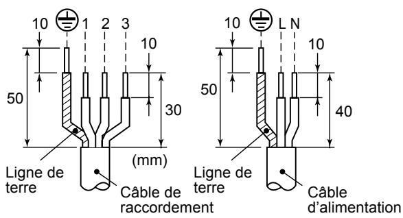 10 1 2 3 10 50 30 Ligne de terre (mm) Câble de raccordement 10 LN 10 50 40 Ligne de terre Câble d'alimentation