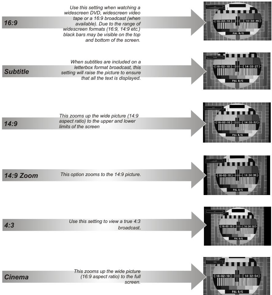 TOSHIBA W1333 - Changing Picture Format - 1