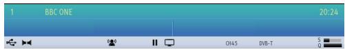 TOSHIBA W1333 - Viewing Info Banner - 1