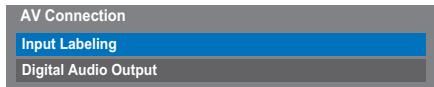 AV Connection Input Labeling Digital Audio Output