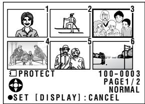 SHARP VL-Z3S - To cancel the protection setting - 2