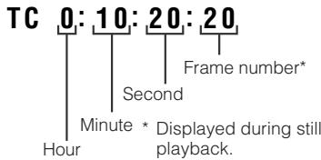 SHARP VLZ300S - Display format - 1