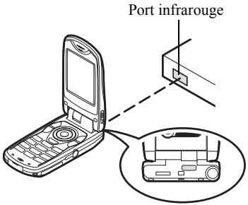 Port infrarouge