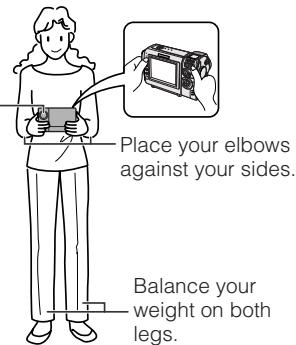 SHARP VL-NZ50S - Basic posture - 1