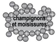 SHARP SJ-PT690R - Informations sur le fonctionnement du ioniseur "Plasmacluster" - 1