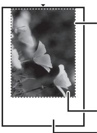 SHARP AL-2021 - ④ Bouton "Réglage automatique de la zone de numérisation" - 1