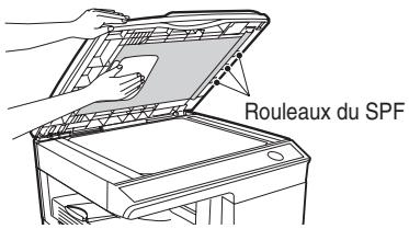 Rouleaux du SPF