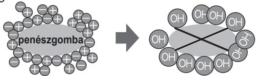 SHARP SJ-GC480V - Megjegyzések a Plasmacluster ionizátor muködésével kapcsolatban - 1