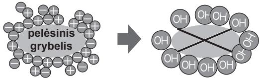 SHARP SJ-GC480V - Pastabos api „Plasmacluster“ Jonizatoriaus veikima - 1