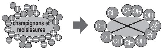 SHARP SJ-GC480V - Ioniseur «plasmacuster - 1