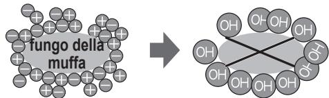 SHARP SJ-GC480V - Note sul funzionamento dello ionizzatore "Plasmacluster" - 1