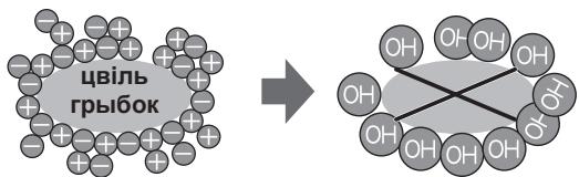SHARP SJ-GC480V - 3aYbari HAKOH T3XHaJiori Plasmacluster - 1