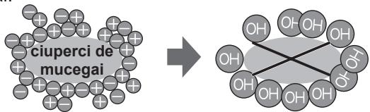 SHARP SJ-GC480V - Note despre fonctionarea dispositivului de ionizare "Plasmacluster" - 1