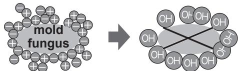 SHARP SJ-GC480V - Notes about Plasmacluster operation - 1