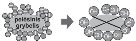 SHARP SJ-WP320T - Plasmacluster“jonizatorius - 1