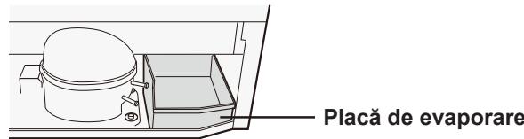 SHARP SJ-WP320T - Inainte de a folosi frigiderul - 1