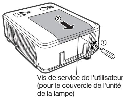 SHARP XG-PH80X-N - Avertissement! - 2