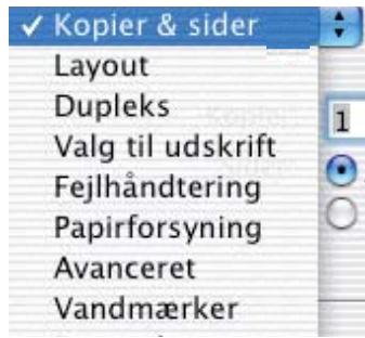 Kopier & sider Layout Dupleks Valg til udskrift Fejlhändtering Papirforsyning Avanceret Vandmærker
