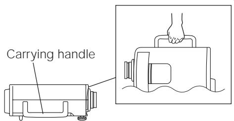 SHARP PG-D210U - Caution: - 1