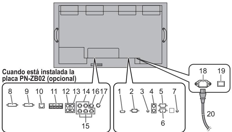 SHARP PN-V600 - Conexiones - 1