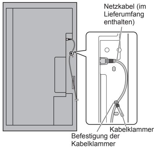 SHARP PN-V600 - Das Netzkabel - 1
