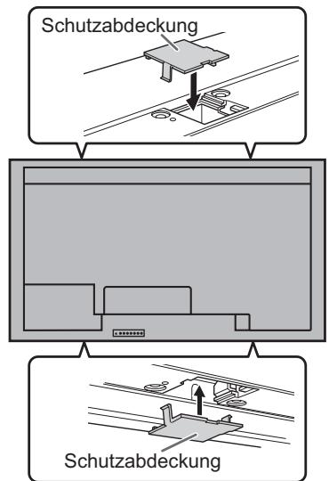 SHARP PN-V600 - Das Netzkabel - 2