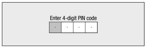 SHARP XL-BD601PH - USB memory device - 1