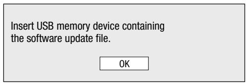 SHARP XL-BD601PH - USB memory device - 2