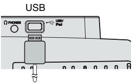 SHARP DK-KP95PH - - Connexion via le port USB d'un ipod, iphone ou ipad - 3
