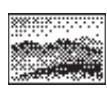 SHARP MX-2614N - REPEATING PHOTOS ON A COPY (Photo Repeat) - 8