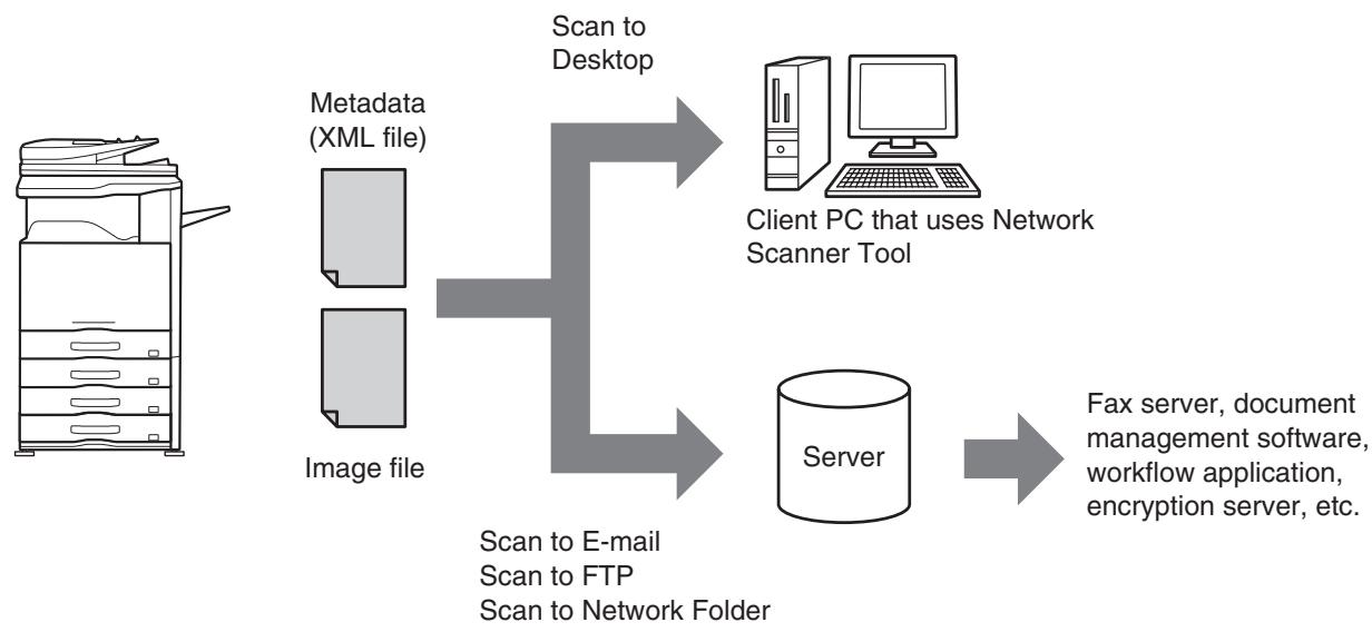 SHARP MX-2614N - METADATA DELIVERY (Data Entry) - 1