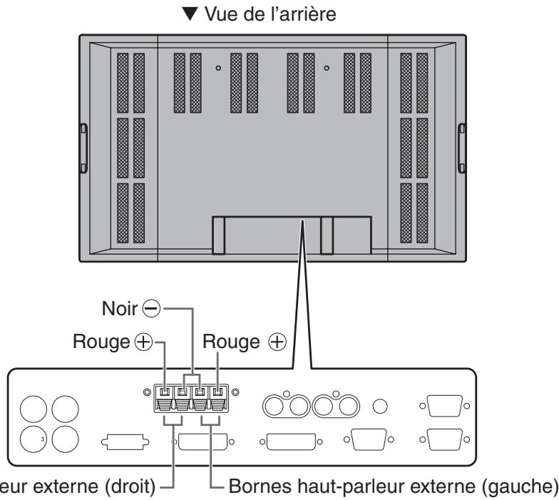 SHARP PN-655E - Connexion des haut-parleurs externes - 1