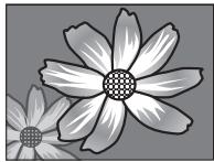 FUJIFILM FINEPIX XP170 - Conseils avancés - 3