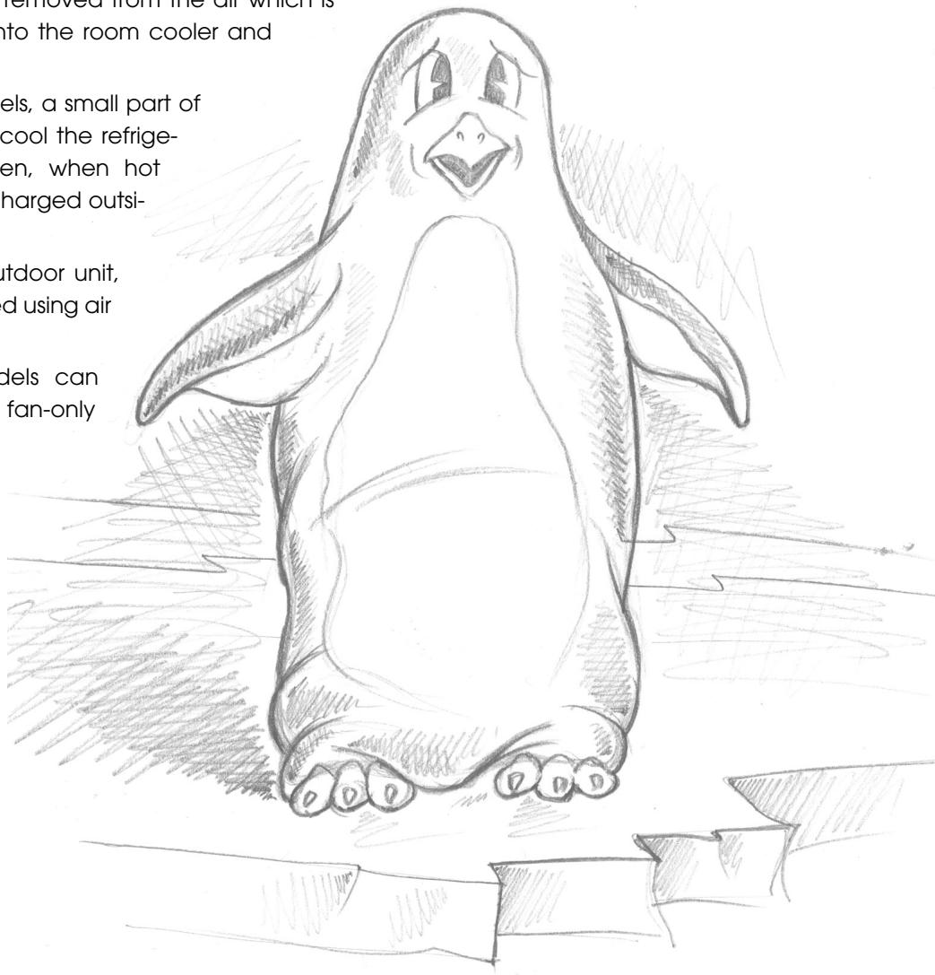 DELONGHI PACC 80 - What is Pinguino? - 1