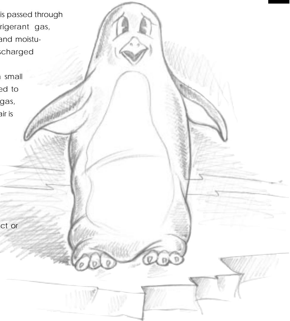 DELONGHI SP 111A - How does your Pinguino work - 1