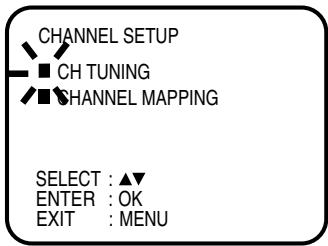 CHANNEL SETUP CH TUNING CHANNEL MAPPING SELECT : ▲▼ ENTER : OK EXIT : MENU