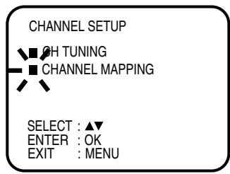 CHANNEL SETUP CH TUNING CHANNEL MAPPING SELECT : ▲▼ ENTER : OK EXIT : MENU