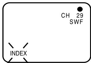 CH 29 SWF INDEX