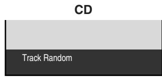 CD Track Random