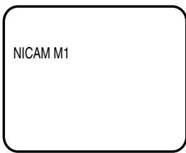 NICAM M1
