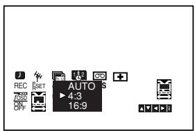 JVC HR-XV45SEF - Compatibilité du grand écran 16:9 - 2