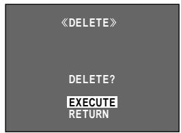 《DELETE》 DELETE? EXECUTE RETURN
