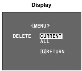 Display DELETE CURRENT ALL RETURN