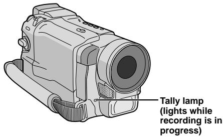 Tally lamp (lights while recording is in progress)
