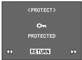 《PROTECT》 PROTECTED RETURN