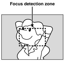 Focus detection zone